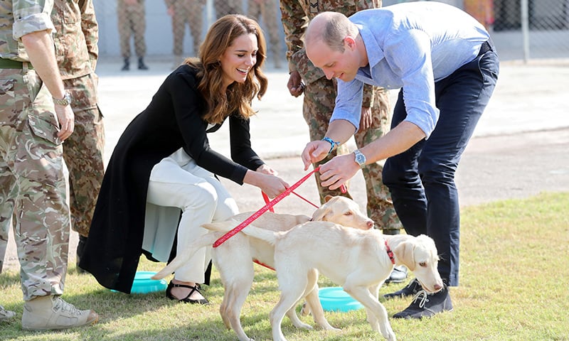 Prince William and Kate play with golden labrador puppies Salto and Sky as they visit an Army Canine Centre in Islamabad. — Reuters