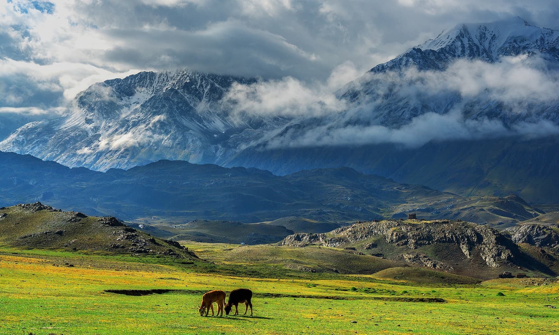 Meadows of Broghil Valley. — *Photo by author*