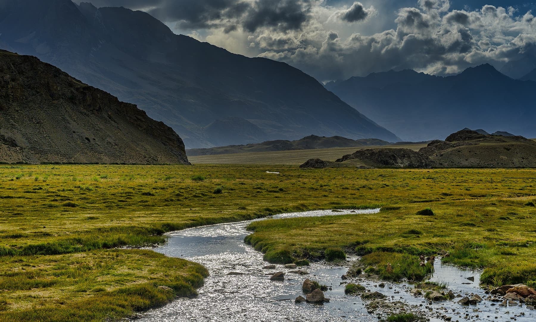 Grasslands on the trek. — *Photo by author*