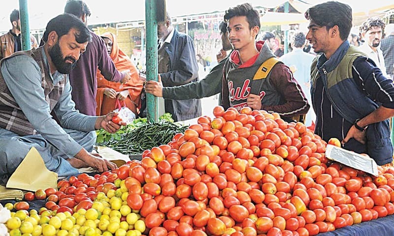 The import of Iranian tomato has gained pace as 1,276 tonnes reached the country over the past one week while the government has allowed further import to curb meteoric price hike. — APP/File