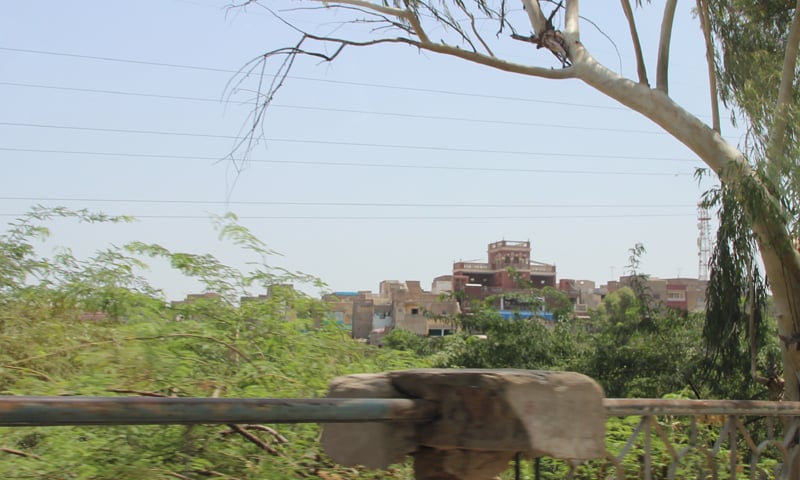 The cottage’s rooftop can be seen from a distance -Photos by the writer