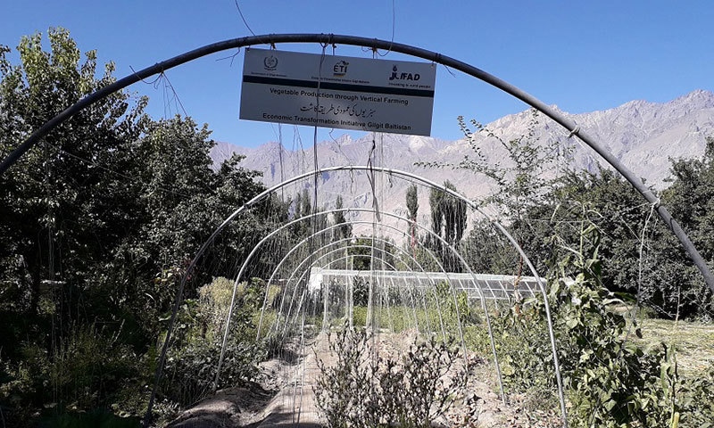 A vegetable cultivation project for Gilgit-Baltistan. — Photo by writer