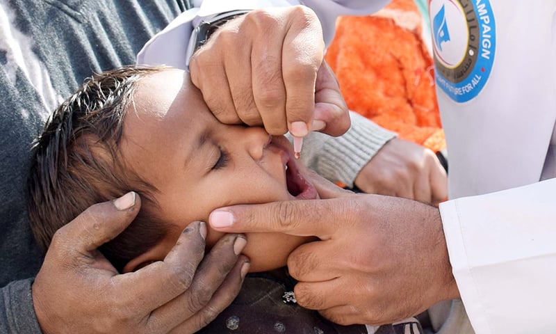 The polio vaccine is administered to a child during an immunisation drive in Hyderabad. — Photo by Umair Ali