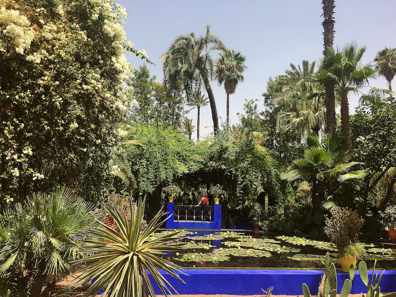 A section of the Marjorelle Garden.