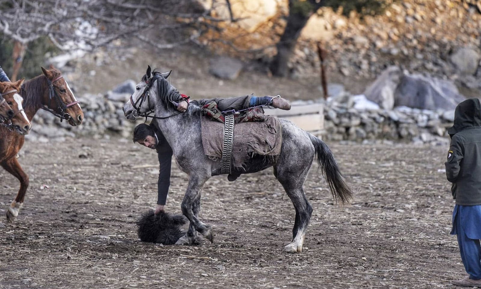 بزکشی کا مقابلہ اس تہوار کا سب سے اہم کھیل ہے&mdash;فوٹو:محکمہ سیاحت