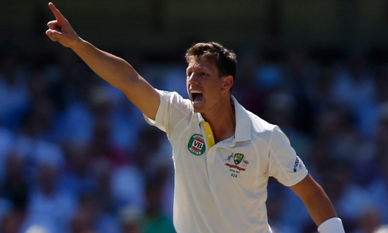 Australia captain Tim Paine lavished praise on fiery seamer James Pattinson (pictured) for lighting the spark that led to an emphatic series-sealing victory over New Zealand in the Boxing Day Test on Sunday. &mdash; AP/File