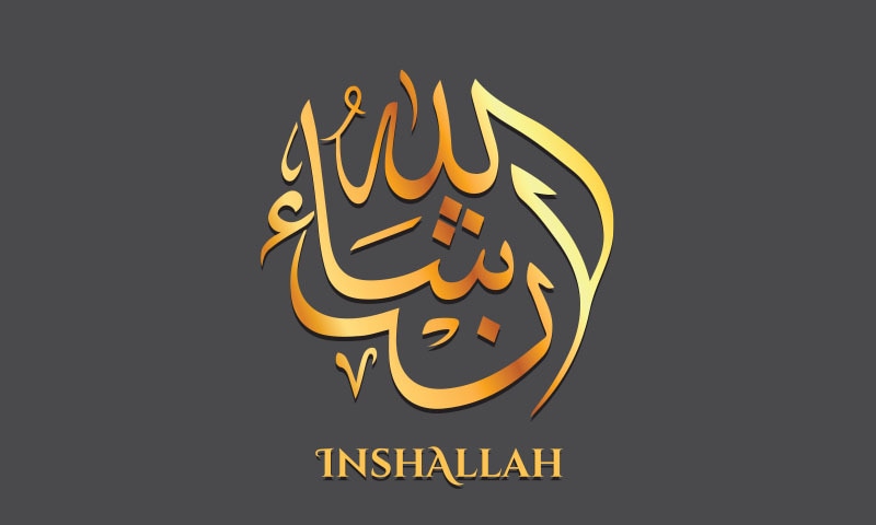 فوٹو: شٹراسٹاک فوٹو: شٹراسٹاک