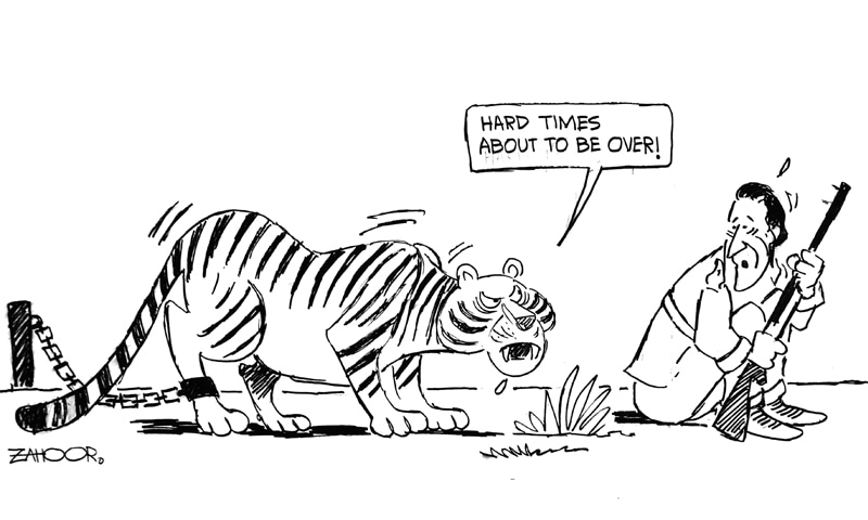 Zahoor's Cartoon