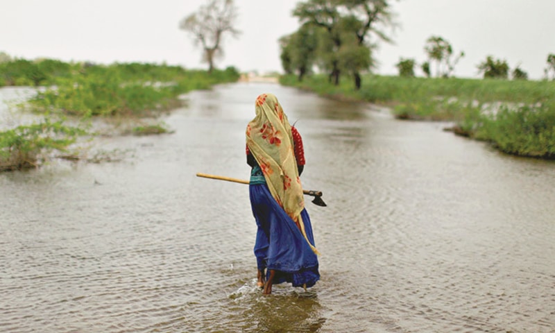 A Pakistani woman displaced by the floods walks along a flooded road holding an axe to cut wood in Digri district near Hyderabad.—File photo