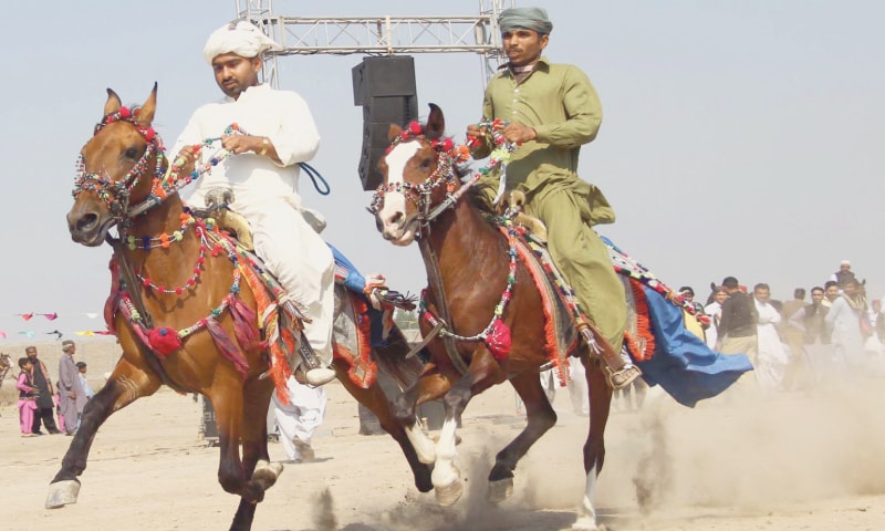 TWO jockeys in traditional garb show off their skills with horses at Sindh Livestock Expo 2020 near the bypass here on Saturday.—Online TWO jockeys in traditional garb show off their skills with horses at Sindh Livestock Expo 2020 near the bypass here on Saturday.—Online
