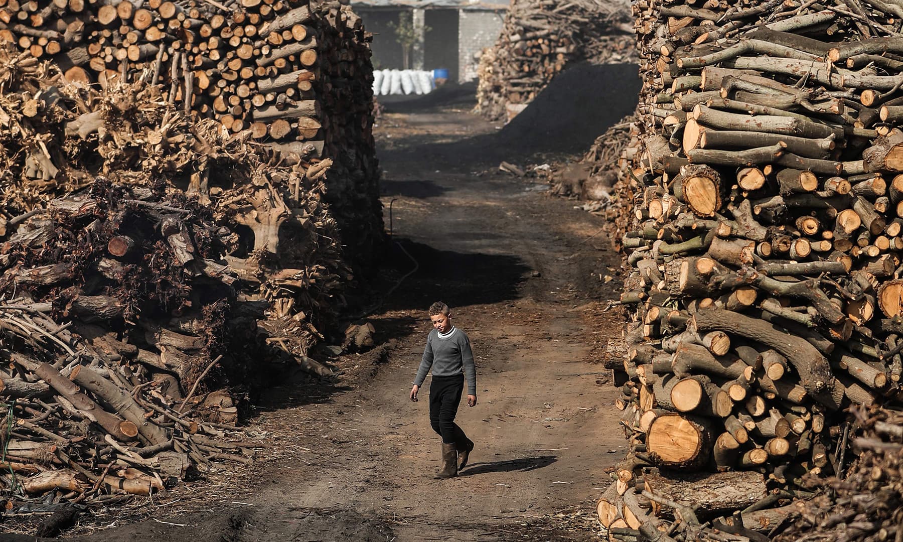 A young Egyptian labourer walks at a charcoal factory in Egypt's Sharkia governorate. — AFP