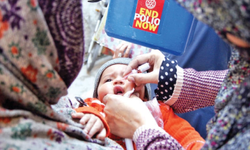 A lady health worker administers polio drops to a child in Dhoke Ratta in Rawalpindi on Monday. — Online A lady health worker administers polio drops to a child in Dhoke Ratta in Rawalpindi on Monday. — Online