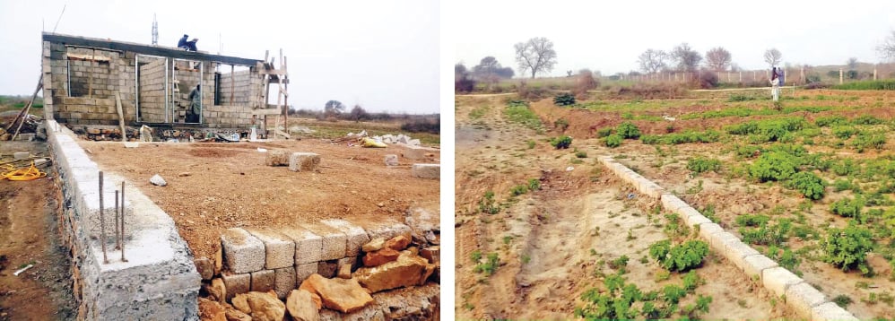 Unchecked construction around the ancient remains of Sirkap, the second city of Taxila, has endangered the world heritage site. — Dawn
