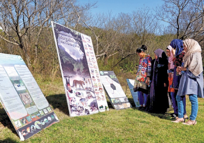 Students look at posters on display during the competition on Tuesday. — White Star