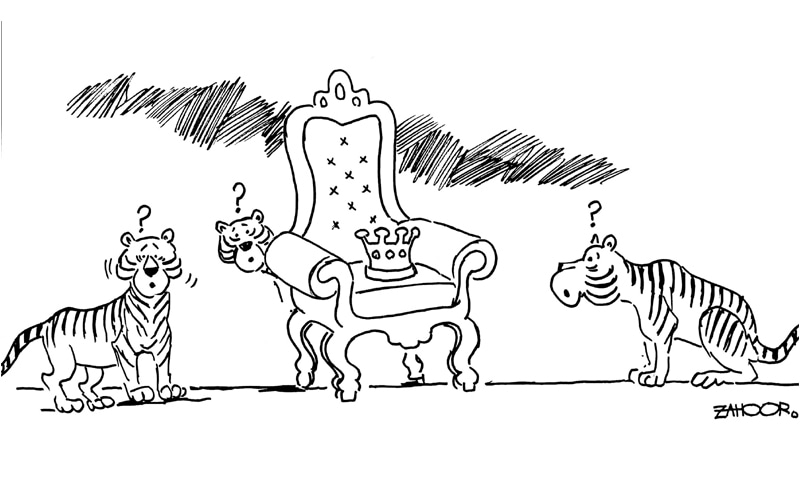 Zahoor's Cartoon