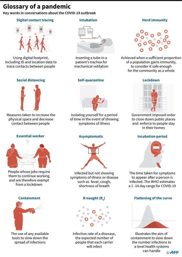 Photo courtesy &mdash; AFP Twitter