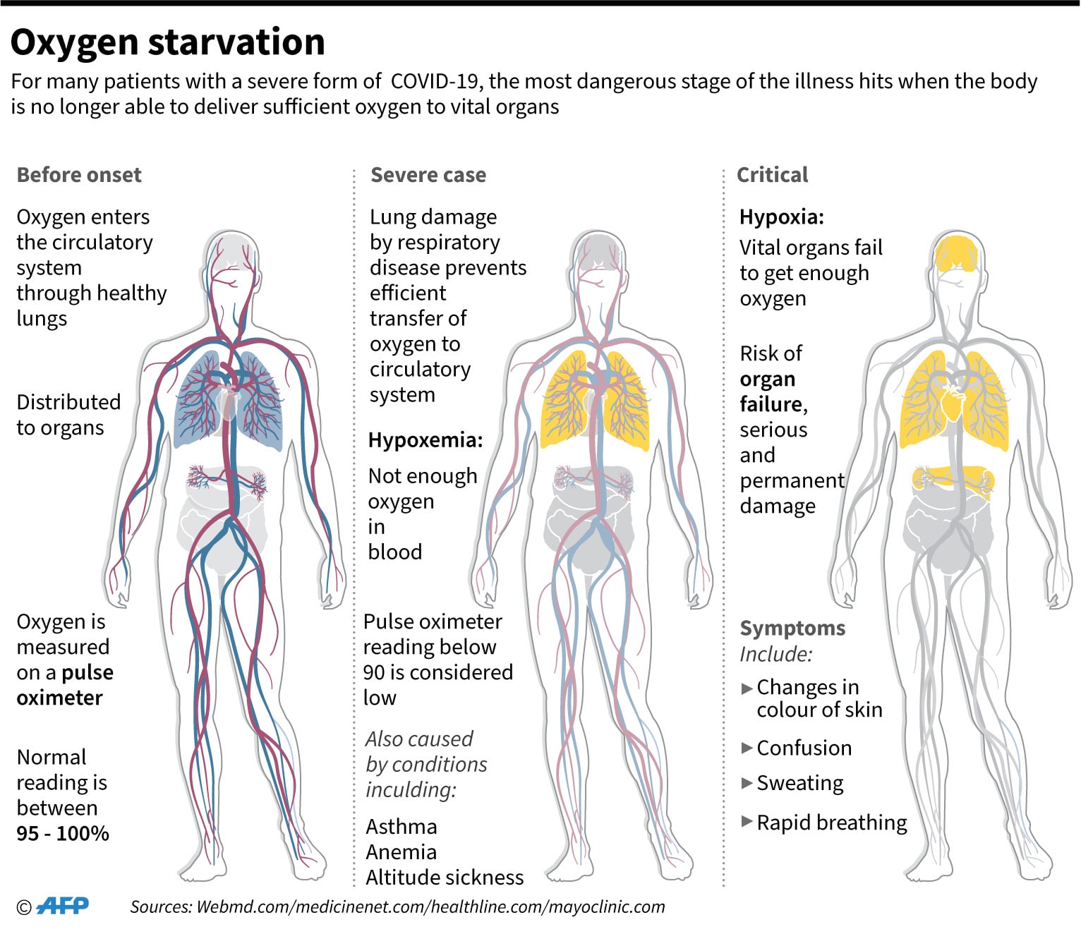 Photo courtesy &mdash; AFP Twitter