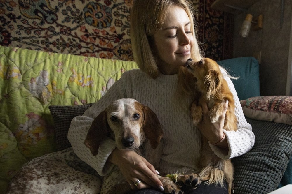 In this photo taken on April 25, Anastasia Medvedeva, one of the organisers of the online adoption initiative called "Happiness Delivered At Home", pets Ratna, 3 year old hunting dog, left, and Goldy 6 year mixed toy terrier, prior to an online broadcast to show dogs and cats to try to match them with owners in Moscow, Russia. &mdash;AP