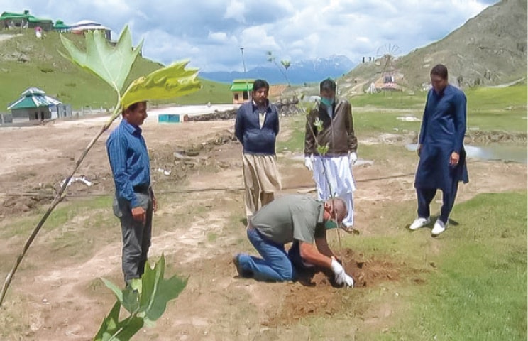 A South African agriculturist plants a sapling at the mountain park in Malam Jabba, Swat. — Dawn