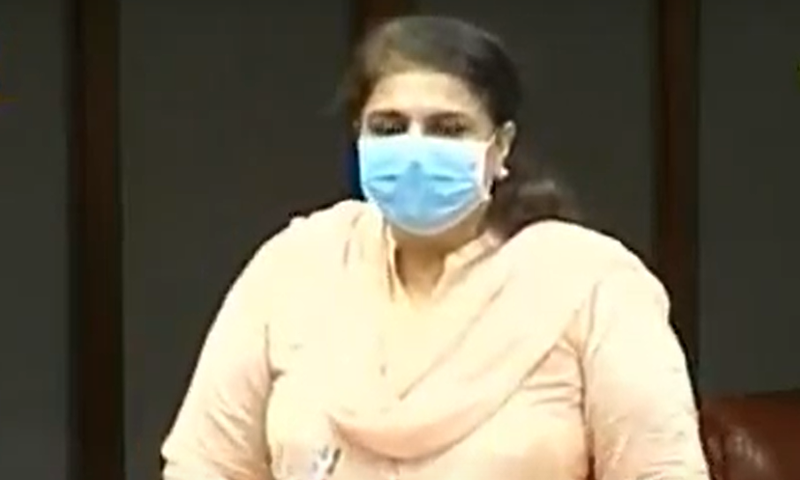 PPP Senator Rubina Khalid speaking on the floor on the Senate. PTI Senator Mohsin Aziz. — DawnNewsTV
