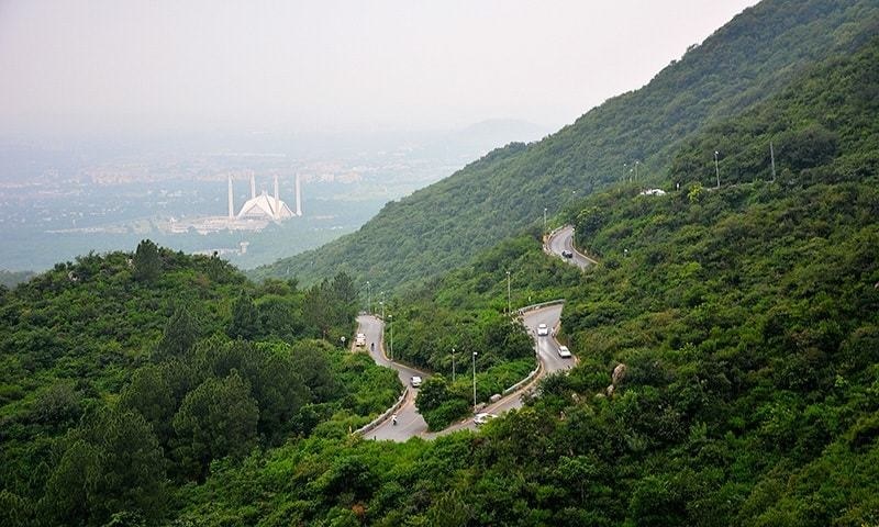 Management of Monal were felling trees for expansion and construction on the front side of the restaurant. 1 AFP/File