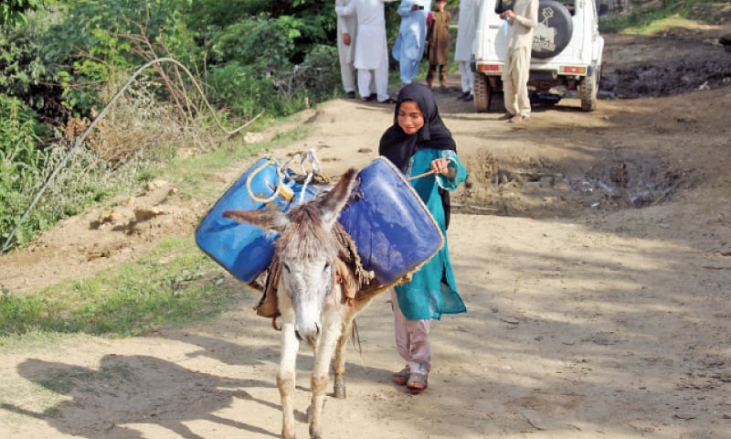 A girl fetches water on a donkey in Battagram. — Dawn A girl fetches water on a donkey in Battagram. — Dawn