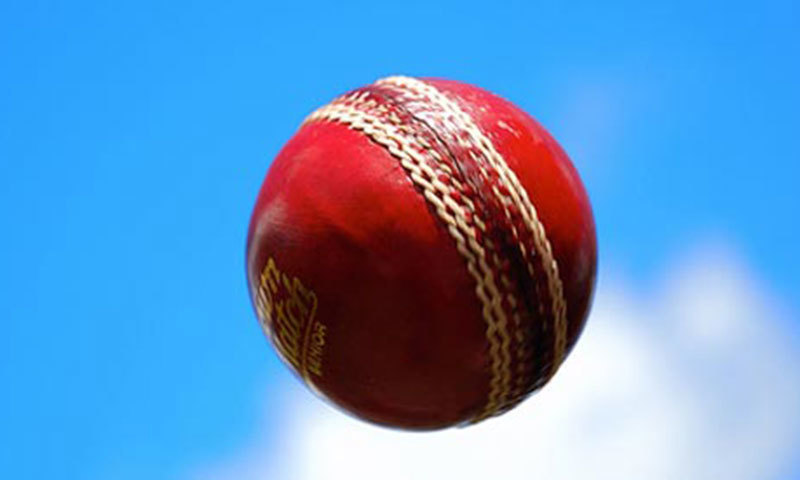 Fast bowlers make the ball swing in the air by shining one side with saliva or sweat. &mdash; AFP/File