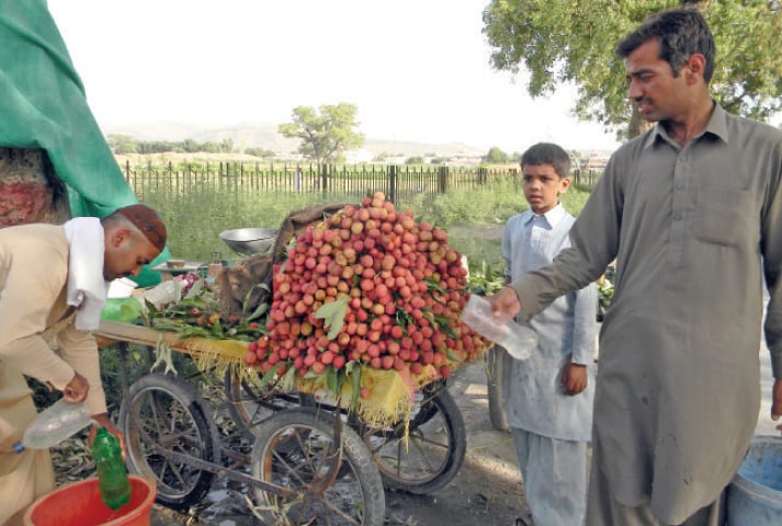 The picture is of a vendor showering water on lychees at his roadside stall near Taxila Museum on Tuesday. — Dawn