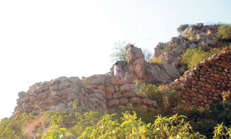 Remains of the 5,000 years old Ade Samud dynasty in Kohat. — Dawn Remains of the 5,000 years old Ade Samud dynasty in Kohat. — Dawn