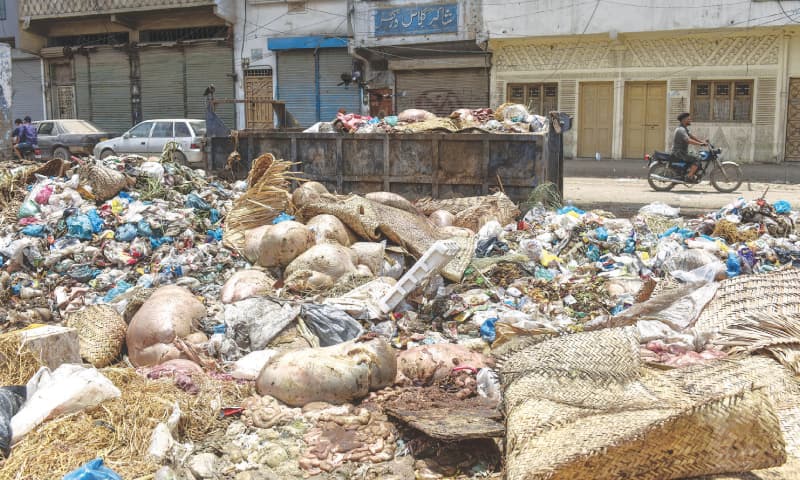 A heap of offal and other waste seen in Liaquatabad on Monday.—White Star