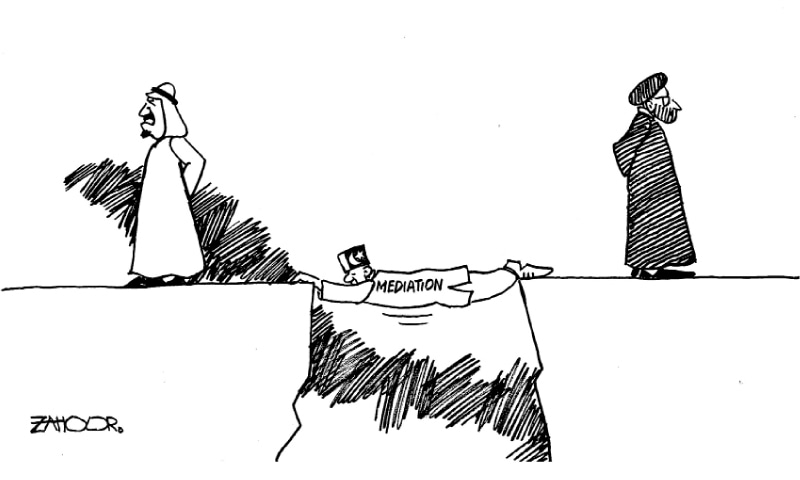 Zahoor's Cartoon