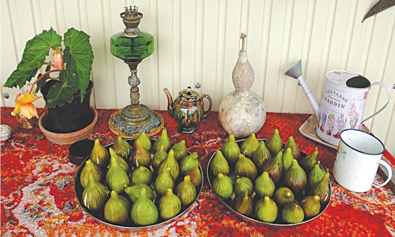 Delicious figs