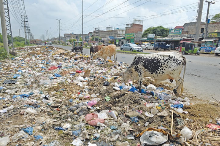 A portion of the road littered with garbage.