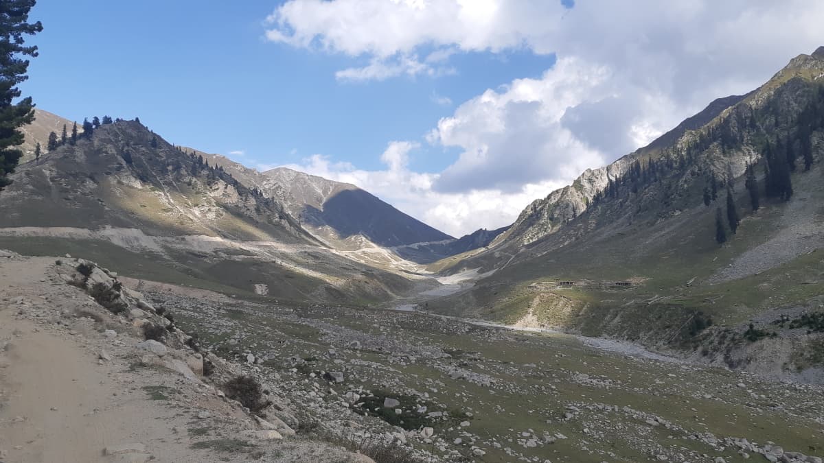 Above the tree line — on the way to Badawi top.