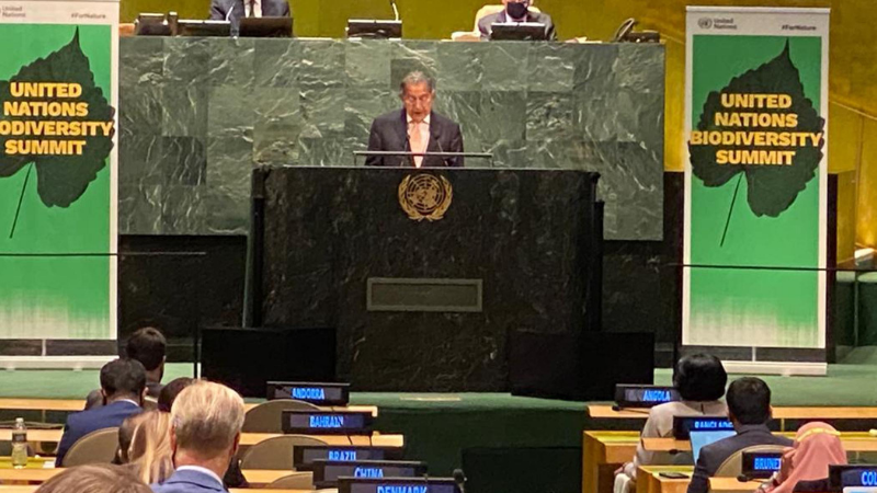 Pakistan’s permanent representative to the UN Munir Akram speaks at the UN biodiversity summit. — PID