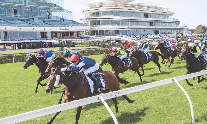 Twilight Payment ridden by Jye McNeil (front L) heads to Melbourne Cup victory in front of empty grandstands at the Flemington Racecourse on Tuesday.&mdash;AFP