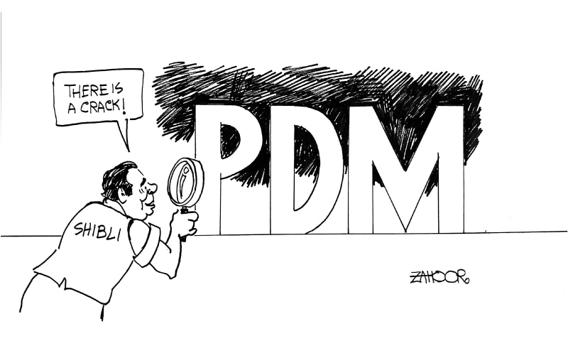 Zahoor's Cartoon