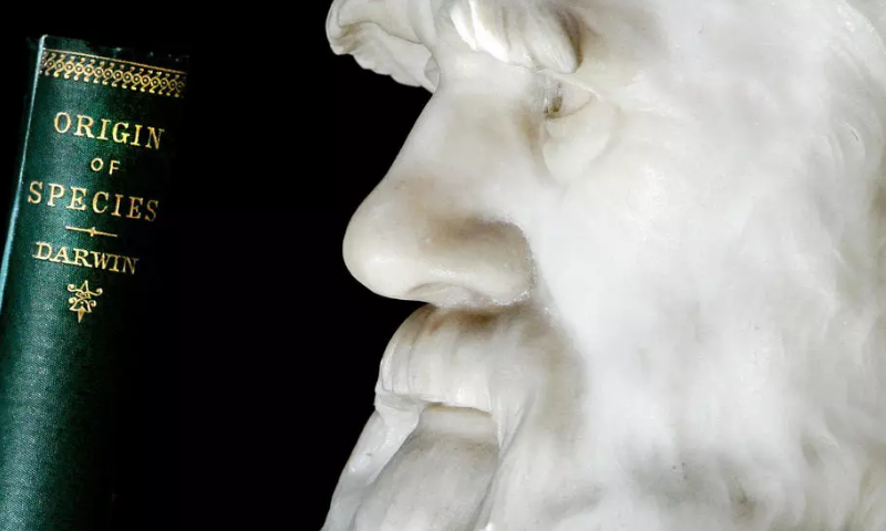 The British scientist filled the leather notebooks in 1837 after returning from his voyage on the HMS Beagle. &mdash; Photo courtesy AFP via France24