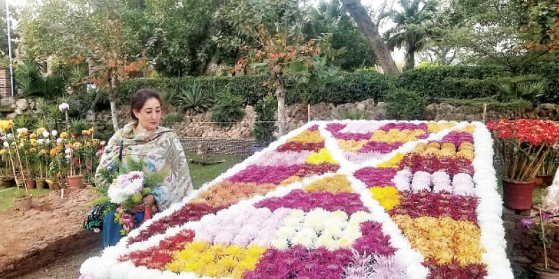 A woman stands next to a floral arrangement in the annual chrysanthemum exhibition at the Islamia College University, Peshawar, on Wednesday. &mdash; Dawn