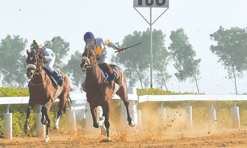 ROYAL Ransom (second R) overtakes Big Bravo in home stretch to win the Quaid-e-Azam Gold Cup at the Karachi Racecourse on Saturday. &mdash; Tahir Jamal/White Star