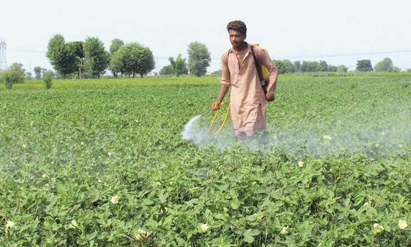 The Par­lia­­mentary Committee on China-Pakistan Economic Corridor (CPEC) on Wed­nesday called for strengthening the agriculture sector under the CPEC framework. — AFP/File