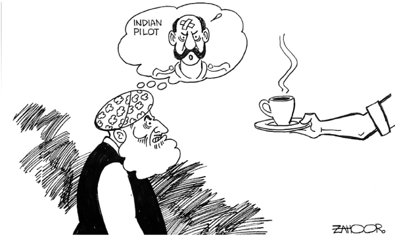 Zahoor's Cartoon