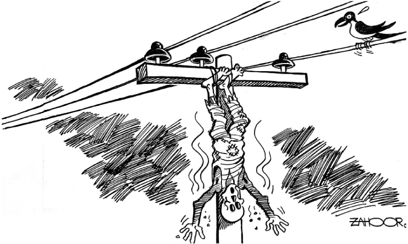 Zahoor's Cartoon