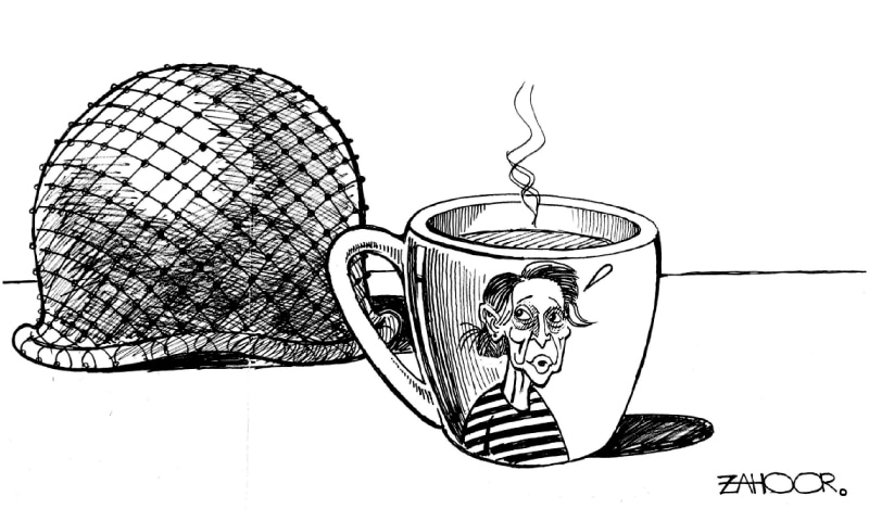 Zahoor's Cartoon