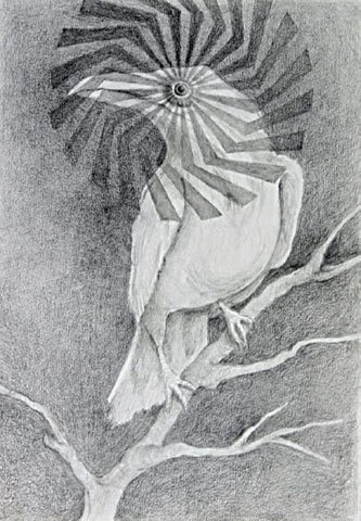 The Watcher, Manizhe Ali