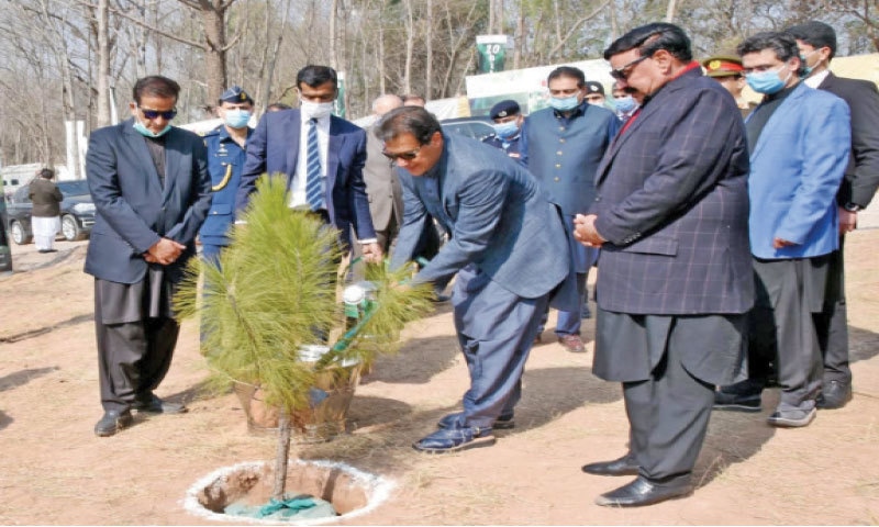 Prime Minister Imran Khan plants a sapling to inaugurate the spring tree plantation drive in Islamabad on Wednesday. — White Star