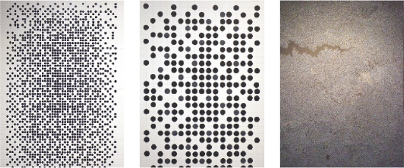 SOME of the exhibits displayed at the show.&mdash;White Star