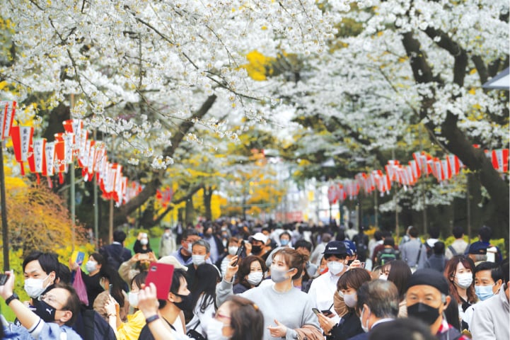 STROLLERS walk under cherry blossoms in Tokyo.—AP