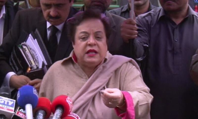 Minister for Human Rights Dr Shireen Mazari will be the chairperson of the inter-ministerial committee. — DawnNewsTV/File