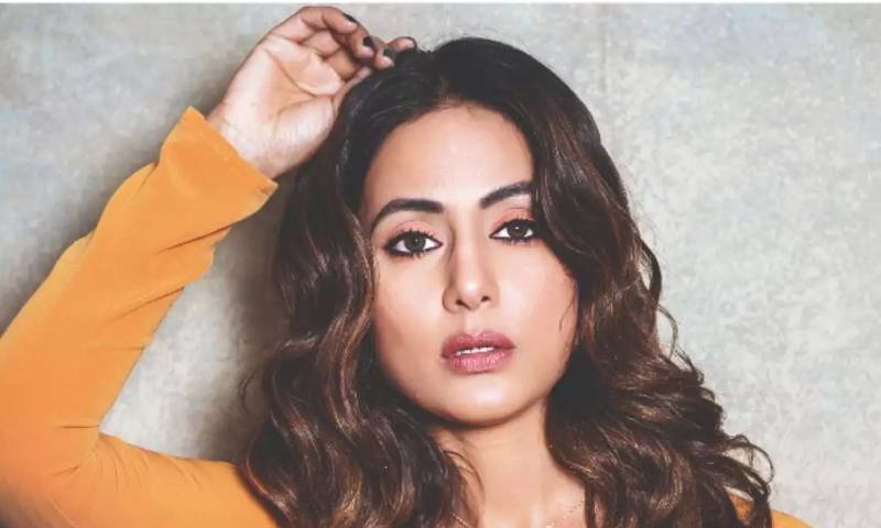 حناخان ان دنوں قرنطینہ میں ہیں — فوٹو: انسٹاگرام